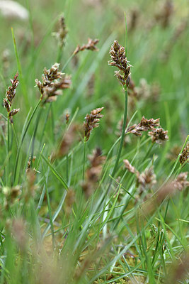 BUITEN BEELD Foto: 346334
