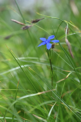 BUITEN BEELD Foto: 346338