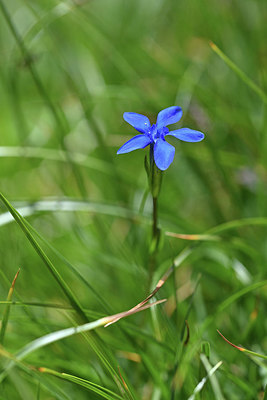 BUITEN BEELD Foto: 346339