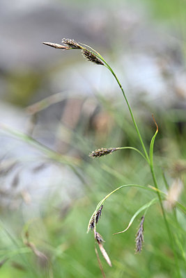 BUITEN BEELD Foto: 346342