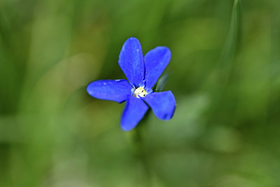 BUITEN BEELD Foto: 346347