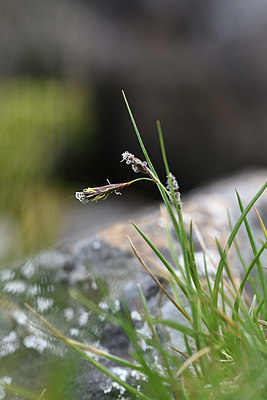 BUITEN BEELD Foto: 346353
