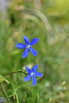 BUITEN BEELD Foto: 346354