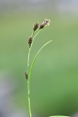 BUITEN BEELD Foto: 346356