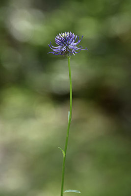 BUITEN BEELD Foto: 346377