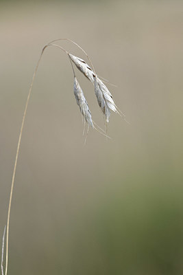 BUITEN BEELD Foto: 346379