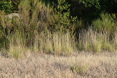 BUITEN BEELD Foto: 346386