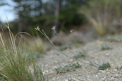 BUITEN BEELD Foto: 346393