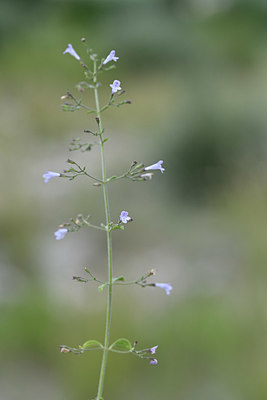 BUITEN BEELD Foto: 346427