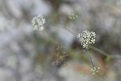 BUITEN BEELD Foto: 346434