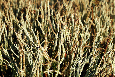 BUITEN BEELD Foto: 346493
