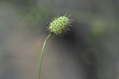 BUITEN BEELD Foto: 346499