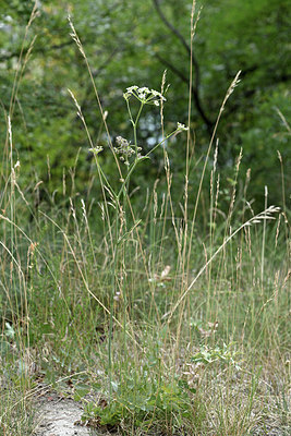BUITEN BEELD Foto: 346507