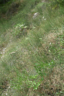 BUITEN BEELD Foto: 346521