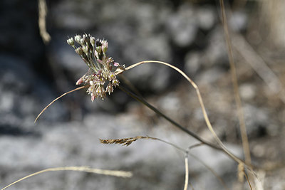 BUITEN BEELD Foto: 346590