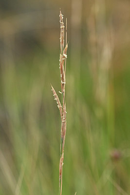 BUITEN BEELD Foto: 346601