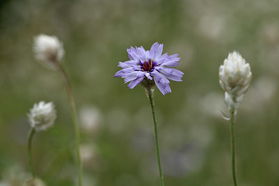 BUITEN BEELD Foto: 346603
