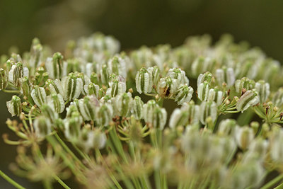 BUITEN BEELD Foto: 346607