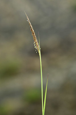 BUITEN BEELD Foto: 346611