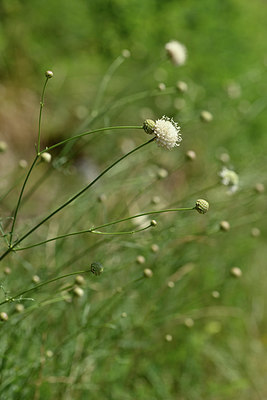 BUITEN BEELD Foto: 346636