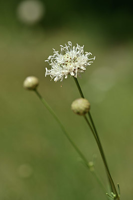 BUITEN BEELD Foto: 346638