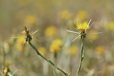 BUITEN BEELD Foto: 346644