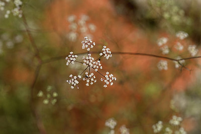 BUITEN BEELD Foto: 346661
