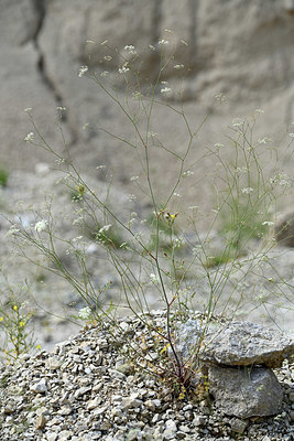 BUITEN BEELD Foto: 346662