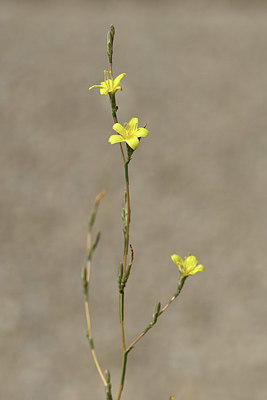 BUITEN BEELD Foto: 346663