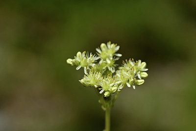 BUITEN BEELD Foto: 346672