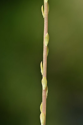 BUITEN BEELD Foto: 346674
