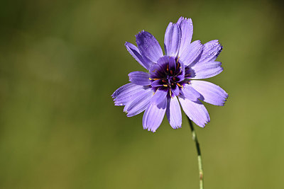 BUITEN BEELD Foto: 346724