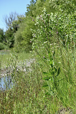 BUITEN BEELD Foto: 346733