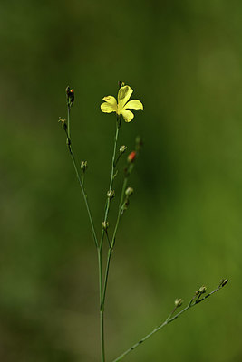 BUITEN BEELD Foto: 346736