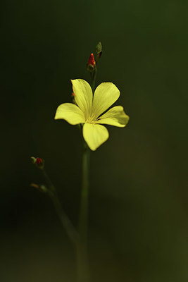 BUITEN BEELD Foto: 346740