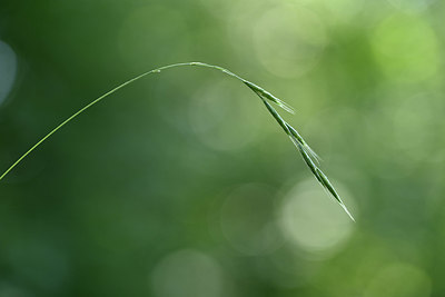 BUITEN BEELD Foto: 346751