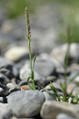 BUITEN BEELD Foto: 346757