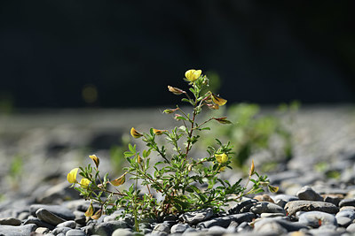 BUITEN BEELD Foto: 346761