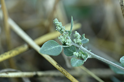 BUITEN BEELD Foto: 346770
