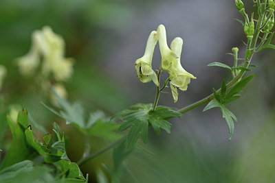 BUITEN BEELD Foto: 346788