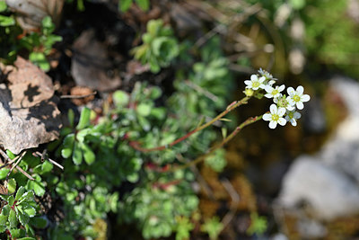 BUITEN BEELD Foto: 346805