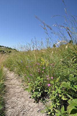 BUITEN BEELD Foto: 346816