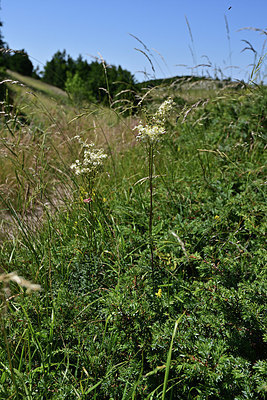 BUITEN BEELD Foto: 346819