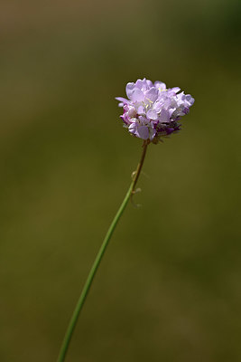 BUITEN BEELD Foto: 346849