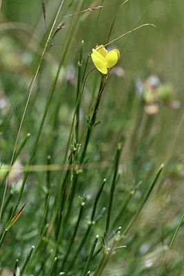 BUITEN BEELD Foto: 346850