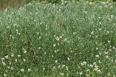 BUITEN BEELD Foto: 346852