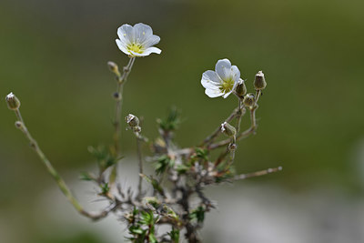 BUITEN BEELD Foto: 346867