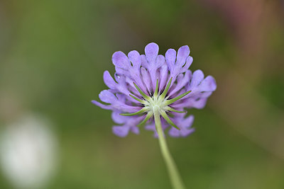 BUITEN BEELD Foto: 346882