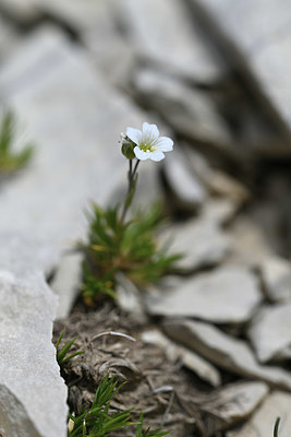 BUITEN BEELD Foto: 346886