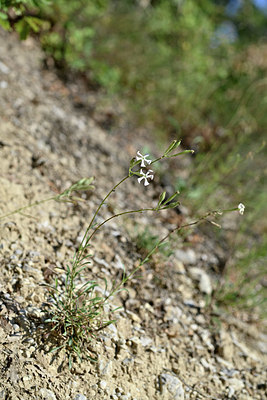 BUITEN BEELD Foto: 346900